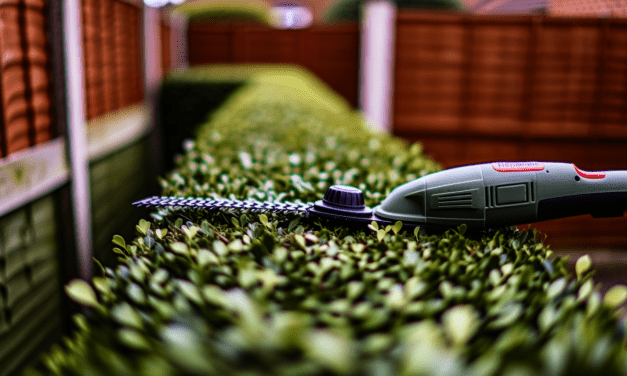 Heckenschere kaufen – Ratgeber für den Garten