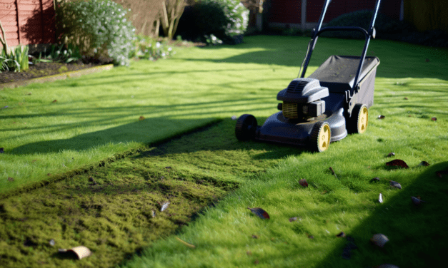 Rasenmäher kaufen – der richtige für deinen Garten